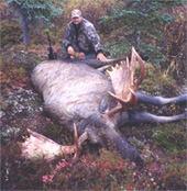 alaska moose hunting